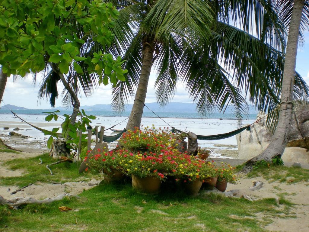 Thong Yang Bungalow Ko Pha Ngan Luaran gambar
